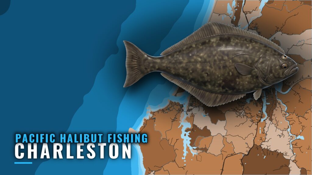 Pacific Halibut Fishing Out of Charleston, Oregon