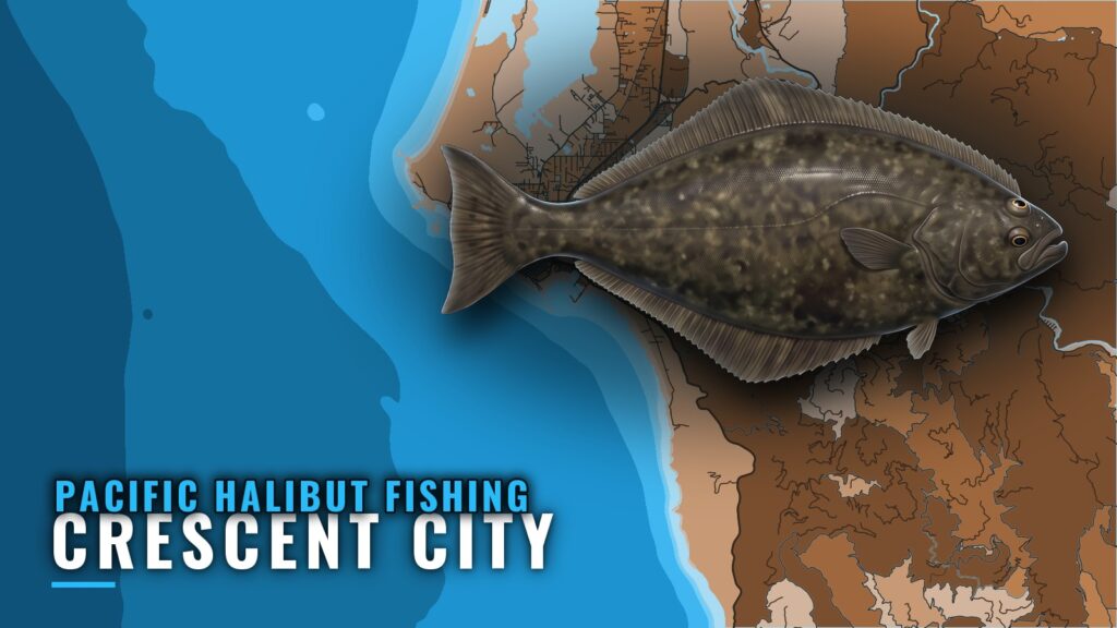 Pacific Halibut Fishing Out of Crescent City: Where to Run