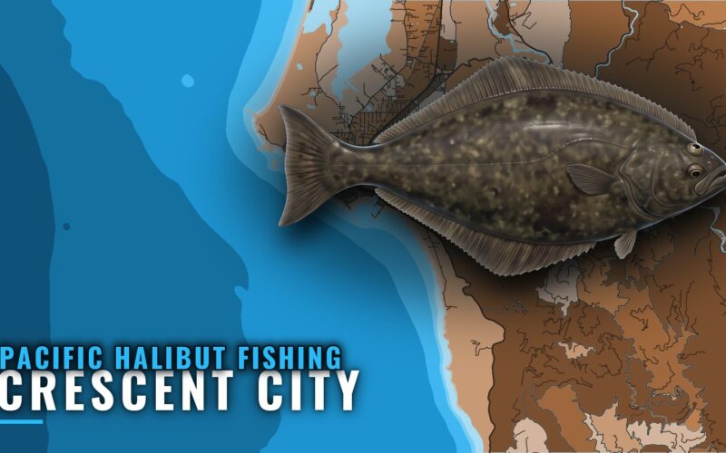 Pacific Halibut Fishing Out of Crescent City: Where to Run