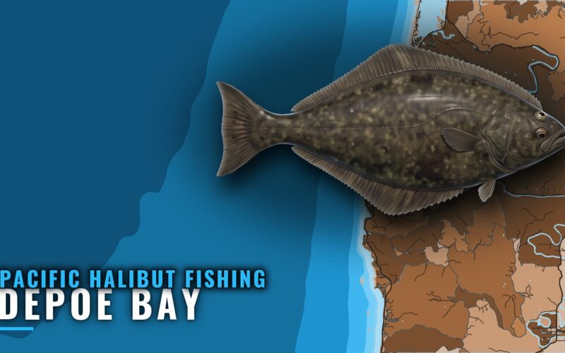 Pacific Halibut Fishing Out of Depoe Bay: Runs and Depths
