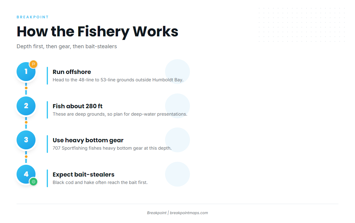 How halibut are fished out of Eureka