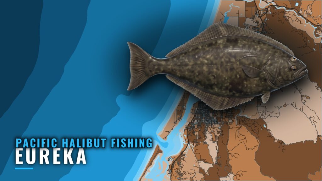 Pacific Halibut Fishing Out of Eureka: Grounds and Season