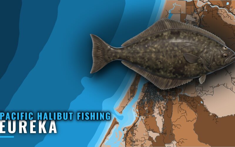 Pacific Halibut Fishing Out of Eureka: Grounds and Season