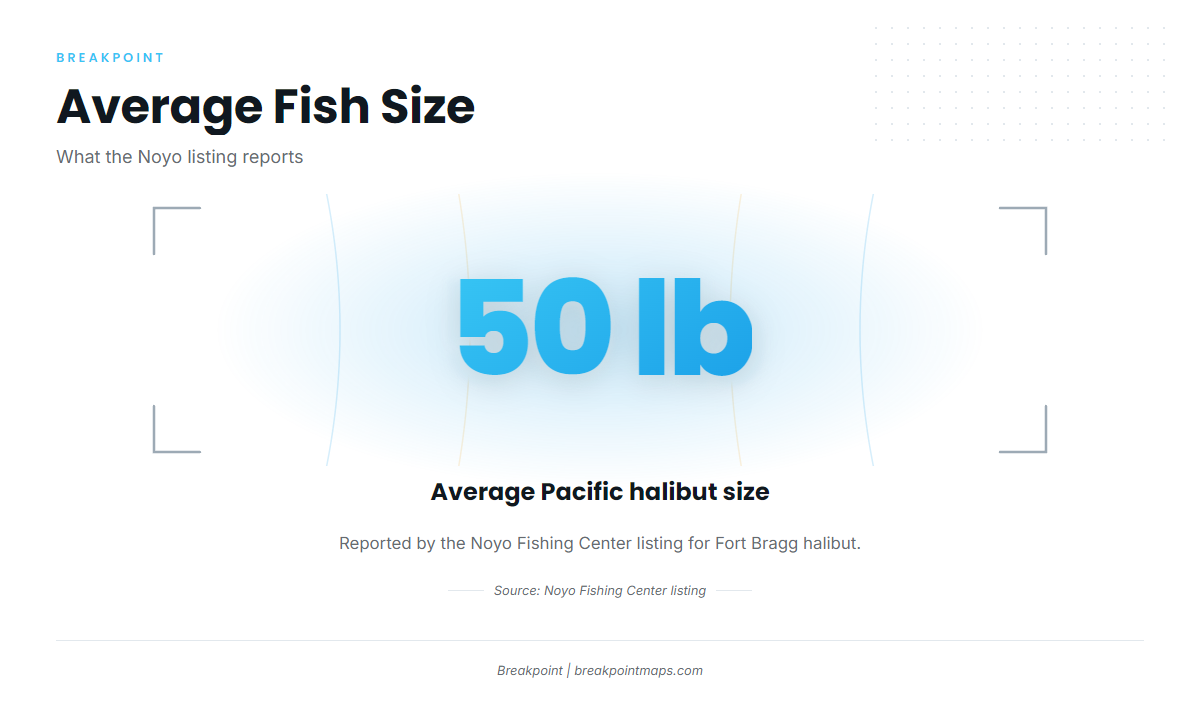 How it's fished and who fishes it