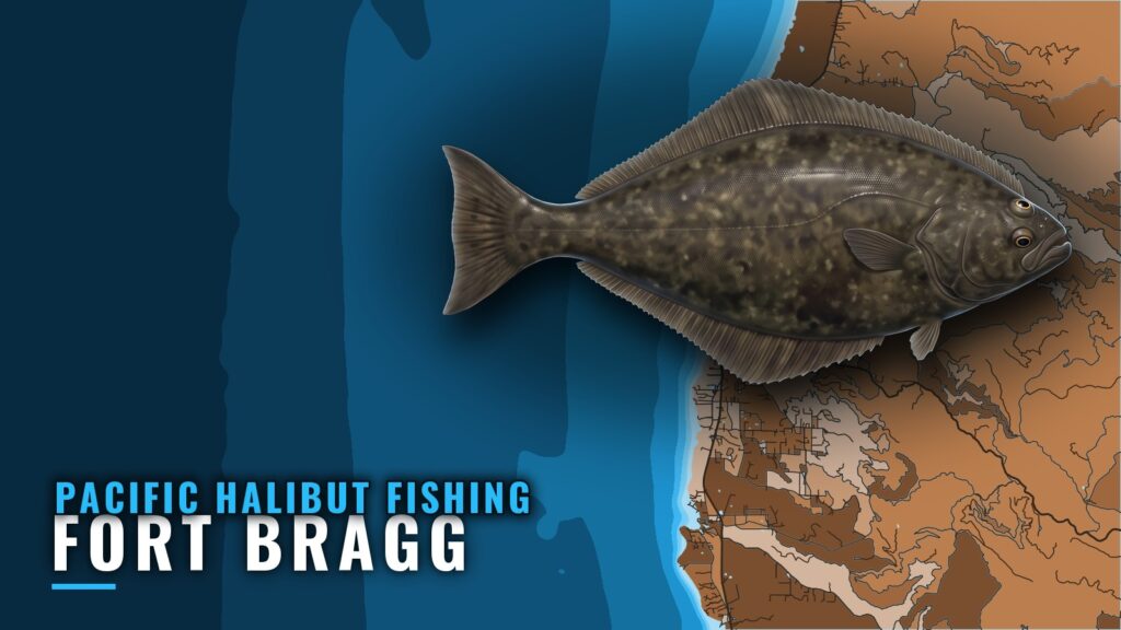 Pacific Halibut Fishing Out of Fort Bragg: Grounds and Runs