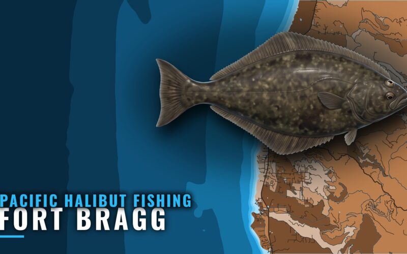 Pacific Halibut Fishing Out of Fort Bragg: Grounds and Runs