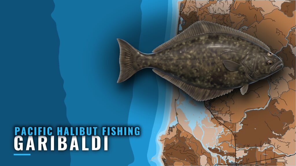 Pacific Halibut Fishing Out of Garibaldi, Oregon