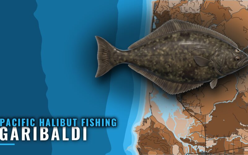 Pacific Halibut Fishing Out of Garibaldi, Oregon