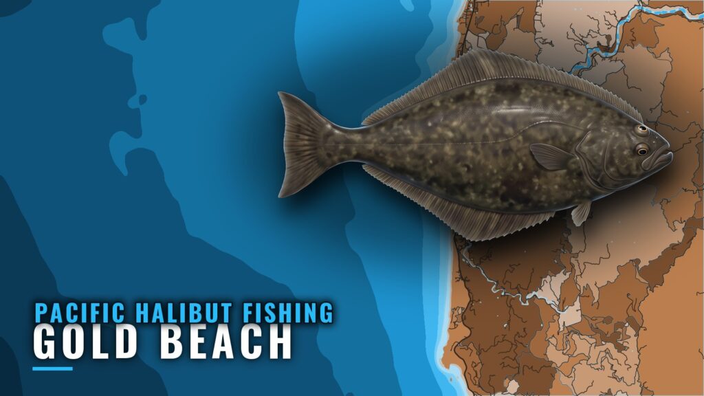Pacific Halibut Fishing Out of Gold Beach, Oregon