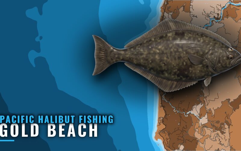 Pacific Halibut Fishing Out of Gold Beach, Oregon