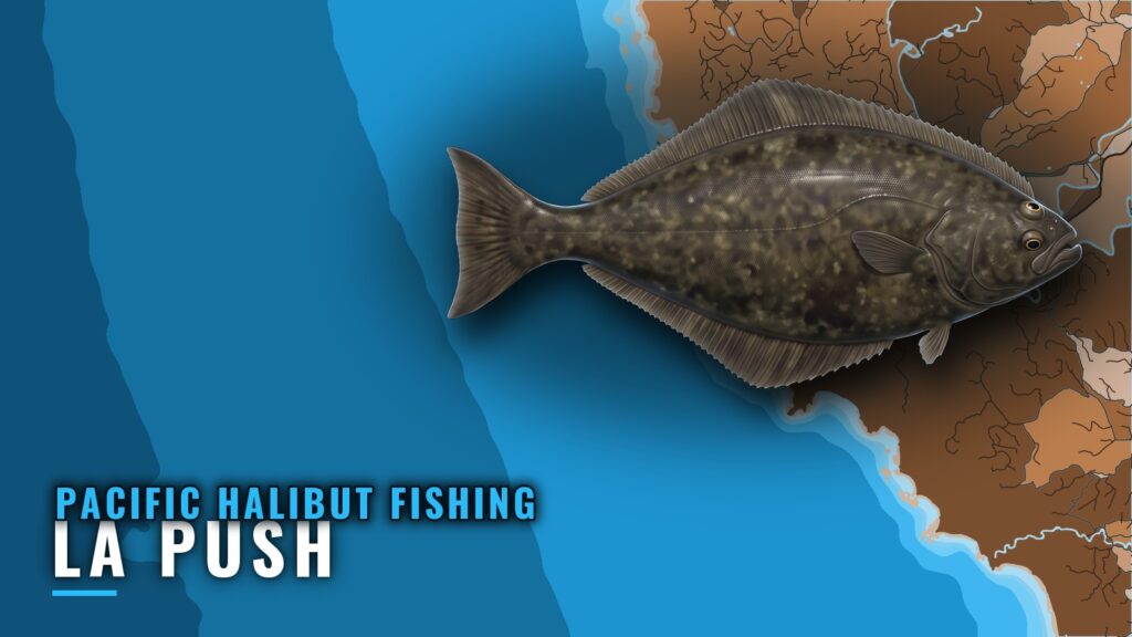 Pacific halibut fishing out of La Push: grounds and depths