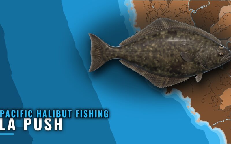 Pacific halibut fishing out of La Push: grounds and depths
