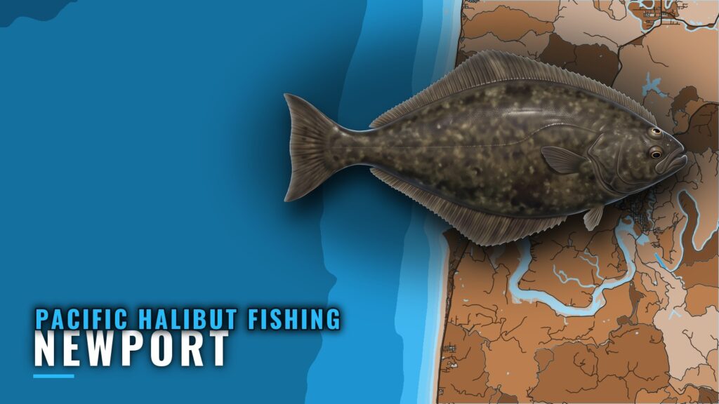 Pacific Halibut Fishing Out of Newport: Grounds and Rigs