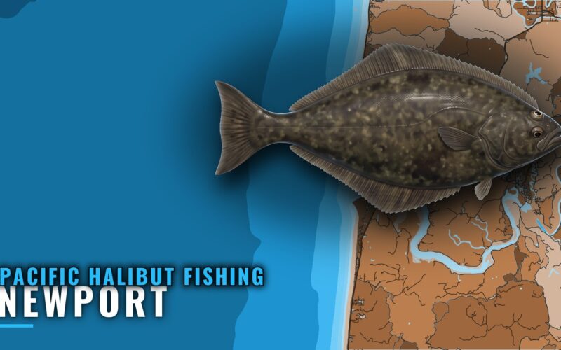 Pacific Halibut Fishing Out of Newport: Grounds and Rigs