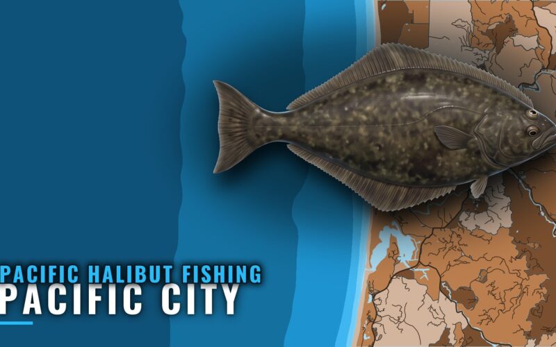 Pacific Halibut Fishing Out of Pacific City: What to Expect