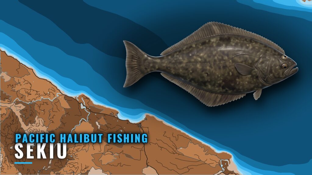 Pacific Halibut Fishing Out of Sekiu: Grounds and Methods