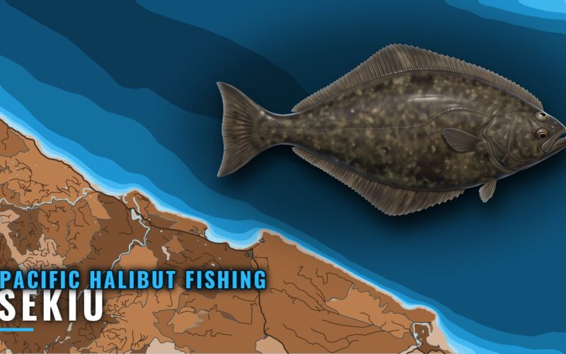 Pacific Halibut Fishing Out of Sekiu: Grounds and Methods