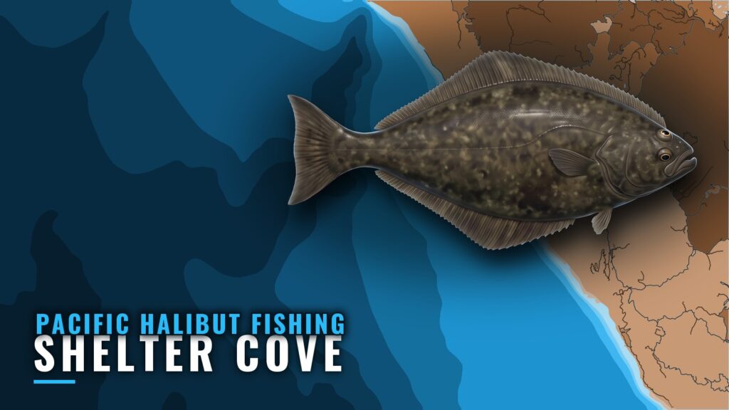 Pacific Halibut Fishing Out of Shelter Cove, California