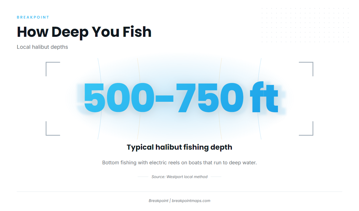 How halibut are fished locally