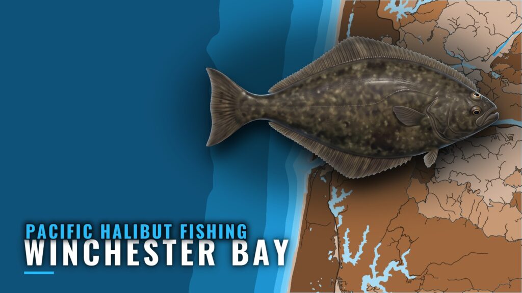 Pacific Halibut Fishing Out of Winchester Bay, Oregon