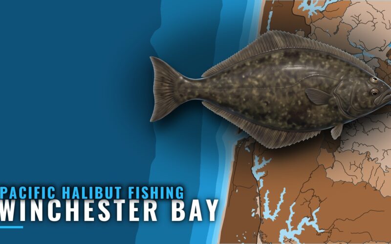 Pacific Halibut Fishing Out of Winchester Bay, Oregon