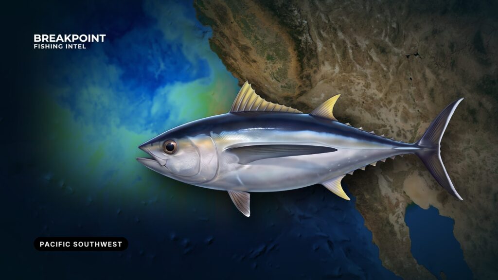 Pacific HMS rules for recreational anglers: a guide