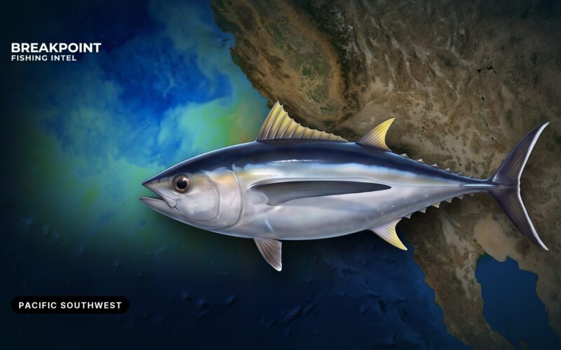 Pacific HMS rules for recreational anglers: a guide