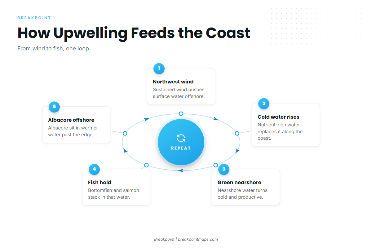 Upwelling (Pacific Northwest)