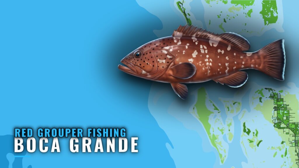 Red Grouper Fishing Out of Boca Grande: Reefs and Depths
