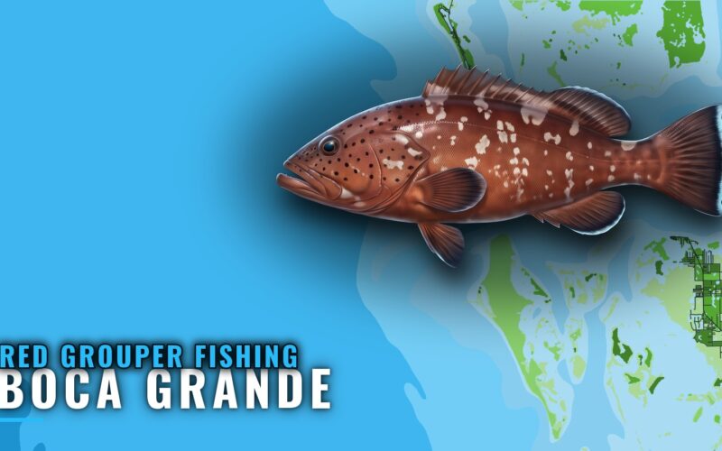 Red Grouper Fishing Out of Boca Grande: Reefs and Depths