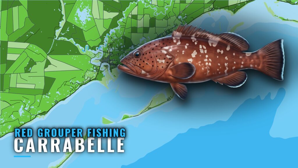 Red Grouper Fishing Out of Carrabelle: Reefs and Runs