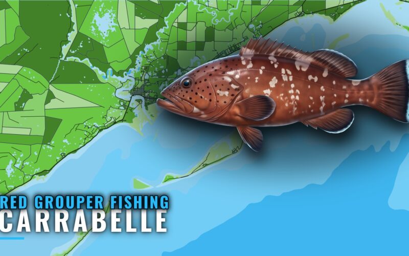 Red Grouper Fishing Out of Carrabelle: Reefs and Runs