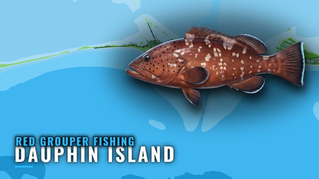 Red Grouper Fishing out of Dauphin Island: Runs and Reefs
