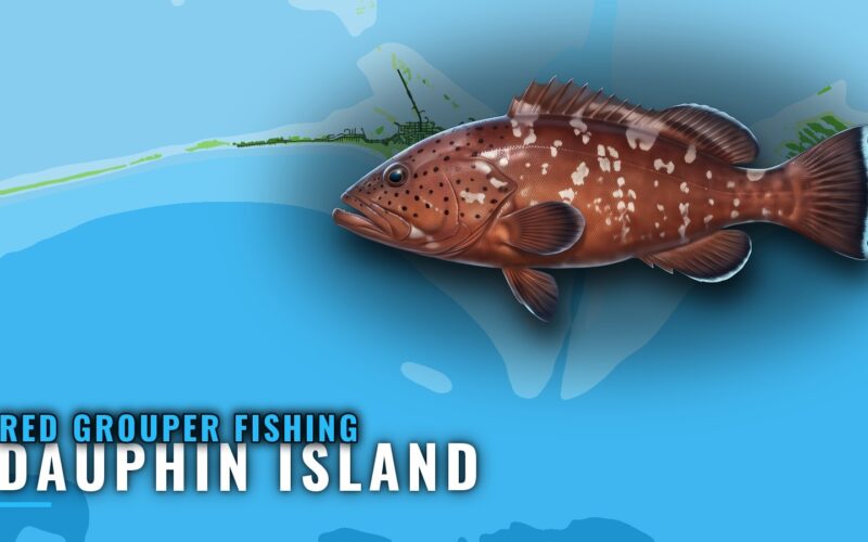 Red Grouper Fishing out of Dauphin Island: Runs and Reefs