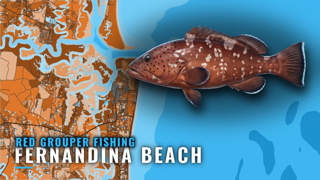 Red Grouper Fishing out of Fernandina Beach: Reefs, Depths