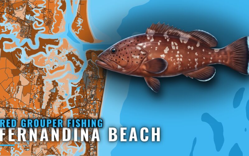 Red Grouper Fishing out of Fernandina Beach: Reefs, Depths