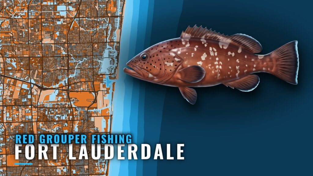 Red Grouper Fishing out of Fort Lauderdale: Reef Sites