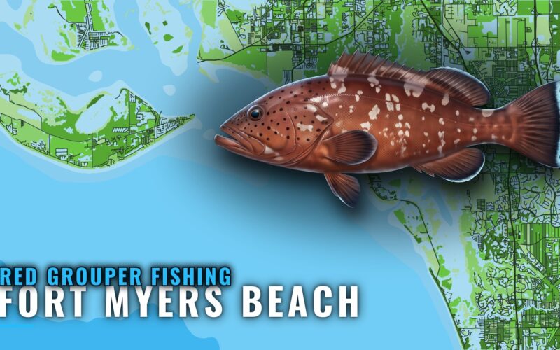 Red Grouper Fishing Out of Fort Myers Beach: Reefs & GPS