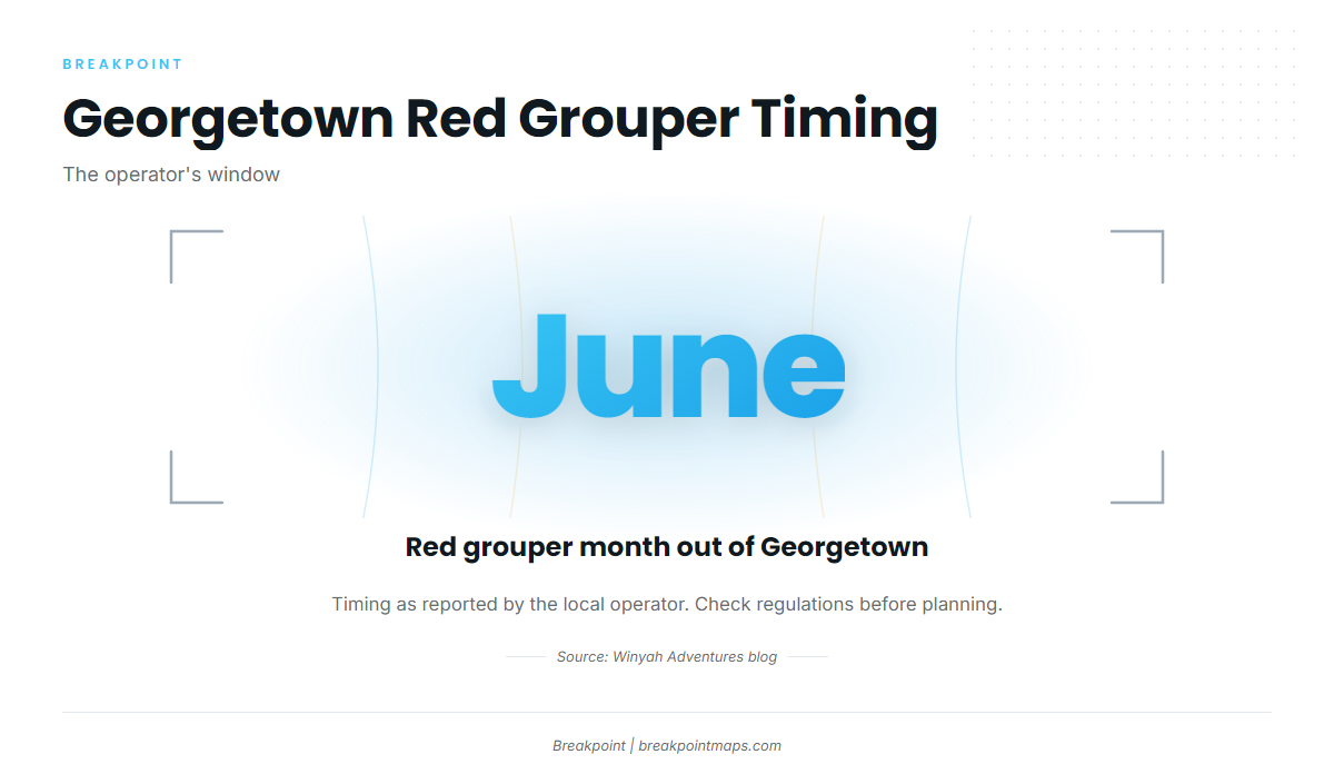 When red grouper are here