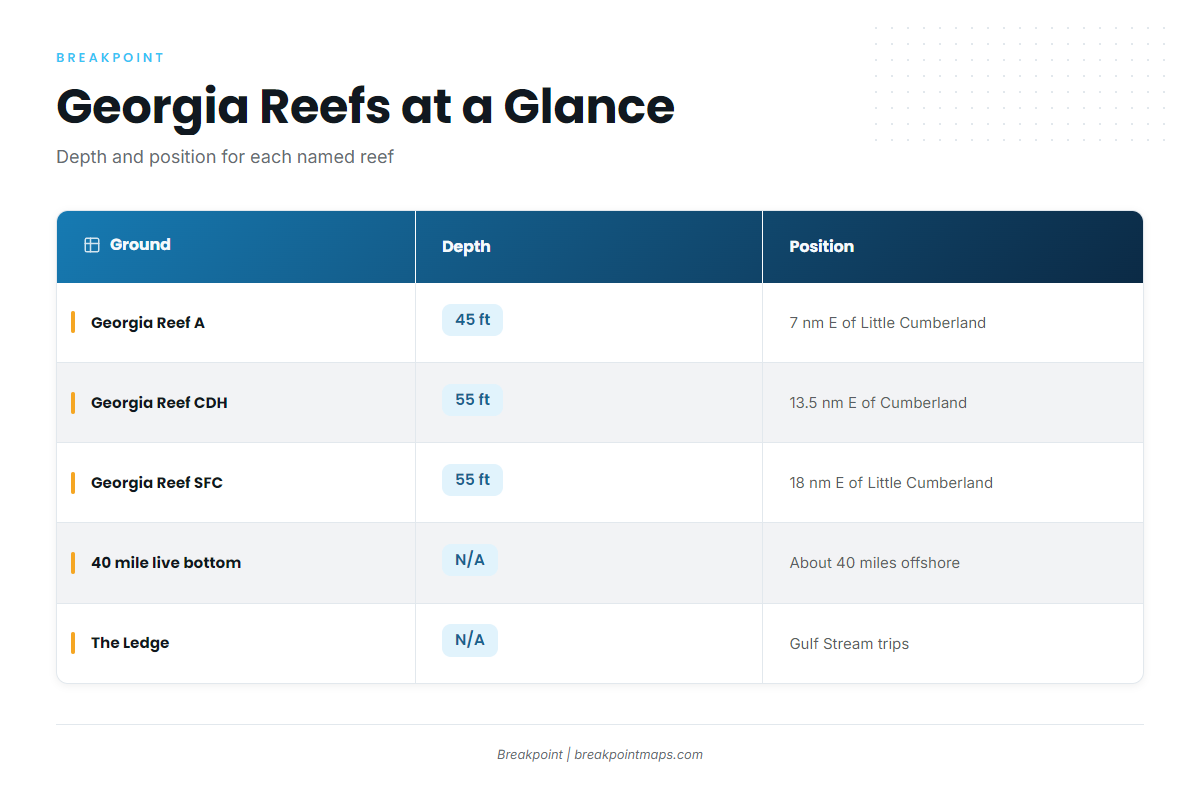 Grounds and structure that hold red grouper