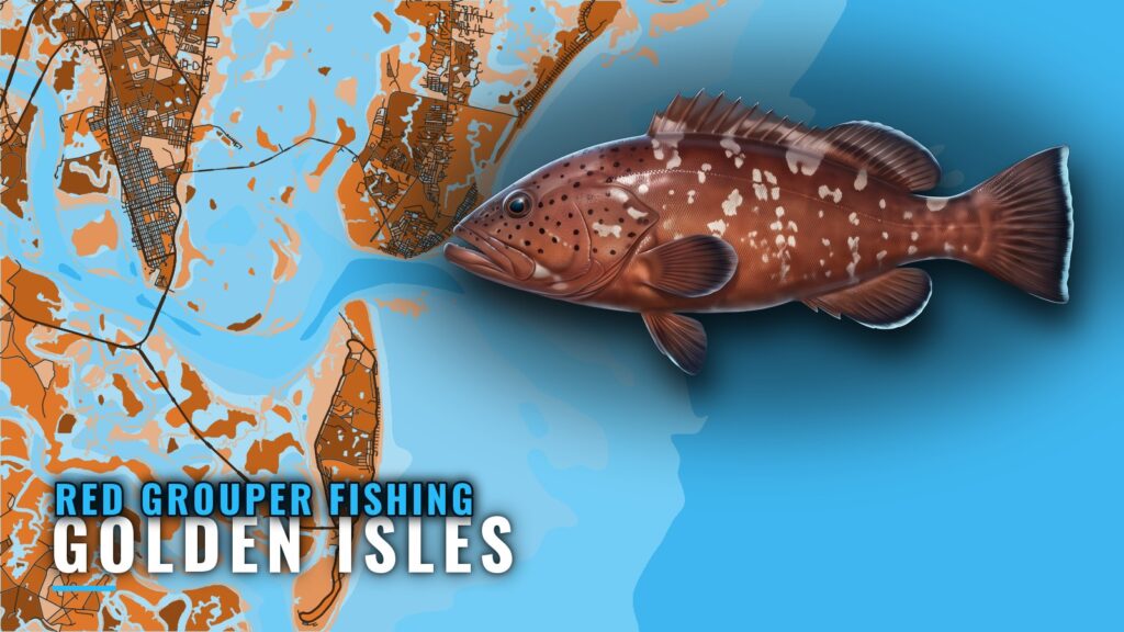 Red Grouper Fishing Out of Golden Isles: Reefs and Runs