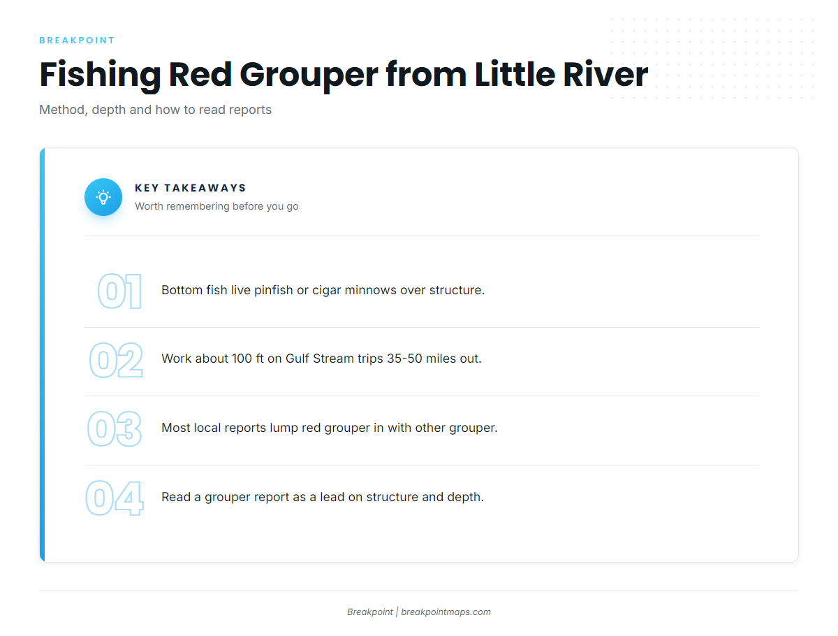 How red grouper are fished out of Little River, and who fishes them