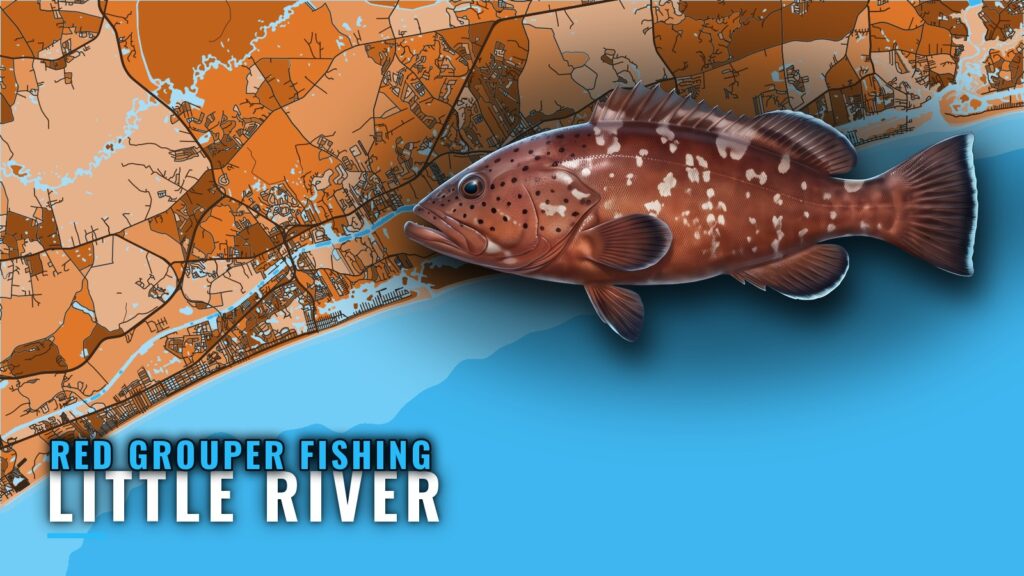 Red Grouper Fishing out of Little River: Runs and Reefs