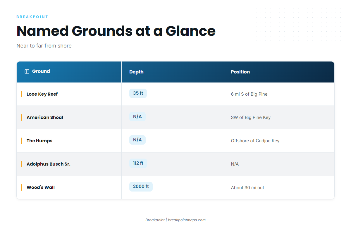 Grounds and structure (Red grouper fishing out of Lower Keys)