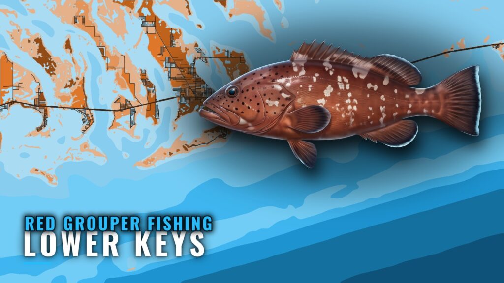 Red Grouper Fishing out of Lower Keys: Grounds and Runs