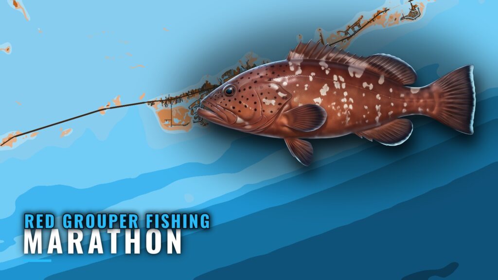 Red Grouper Fishing Out of Marathon: Grounds and Depths