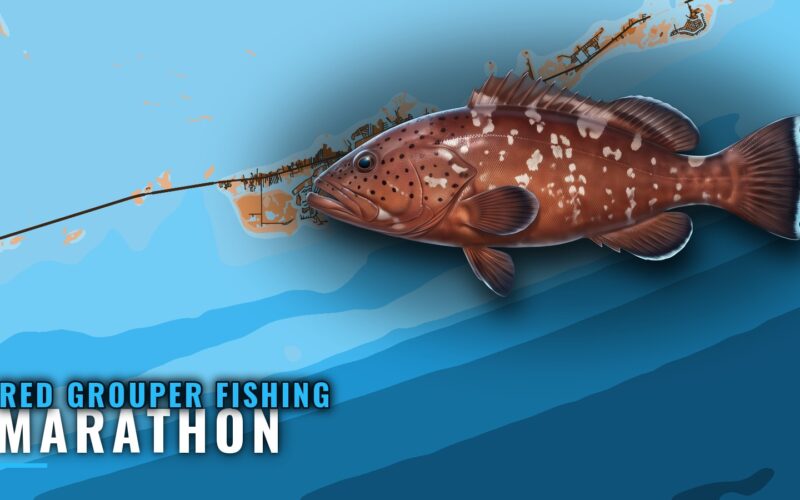 Red Grouper Fishing Out of Marathon: Grounds and Depths