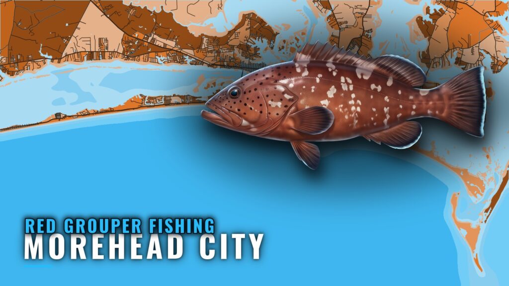Red grouper fishing out of Morehead City: reefs and wrecks