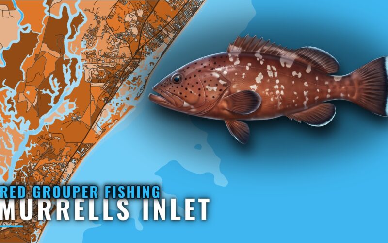 Red Grouper Fishing out of Murrells Inlet: Depth and Reefs