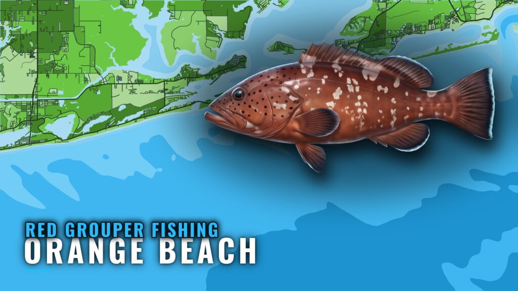 Red Grouper Fishing out of Orange Beach: Where Boats Run